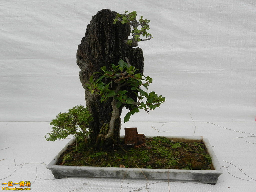 DSCN4152.JPG