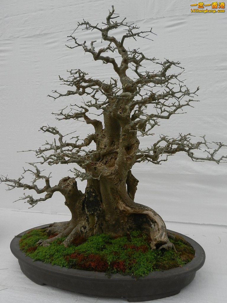 DSCN4158.JPG