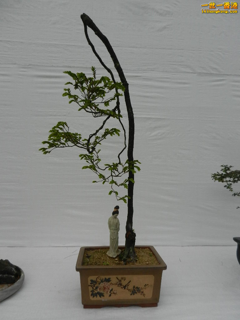 DSCN4160.JPG