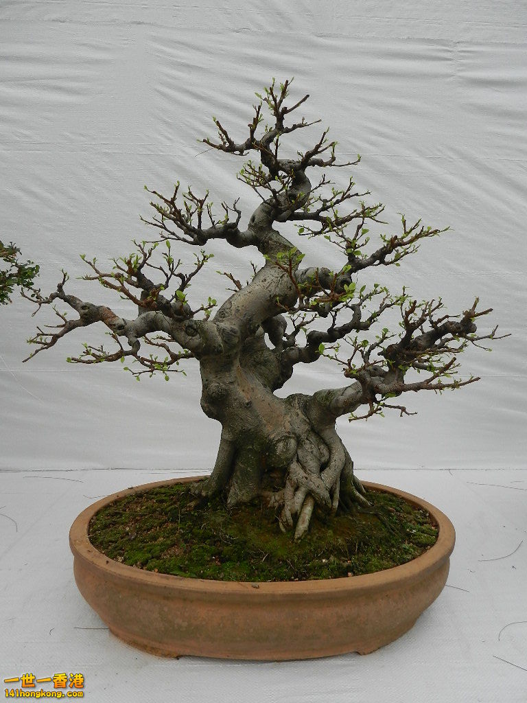 DSCN4162.JPG