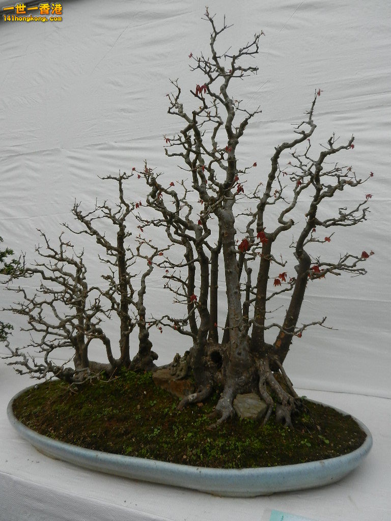 DSCN4166.JPG