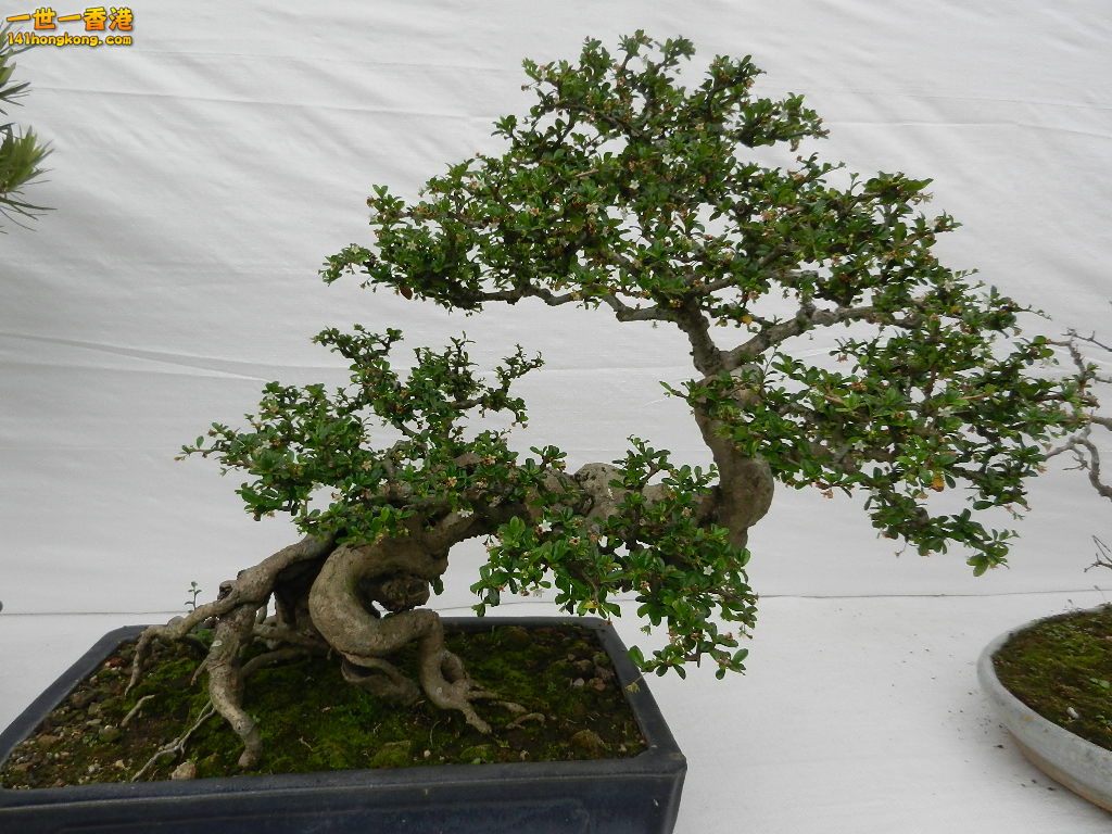 DSCN4167.JPG