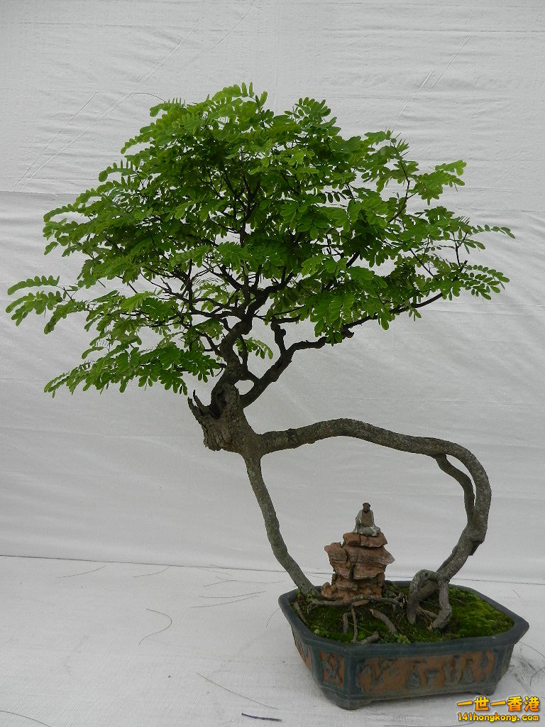 DSCN4168.JPG