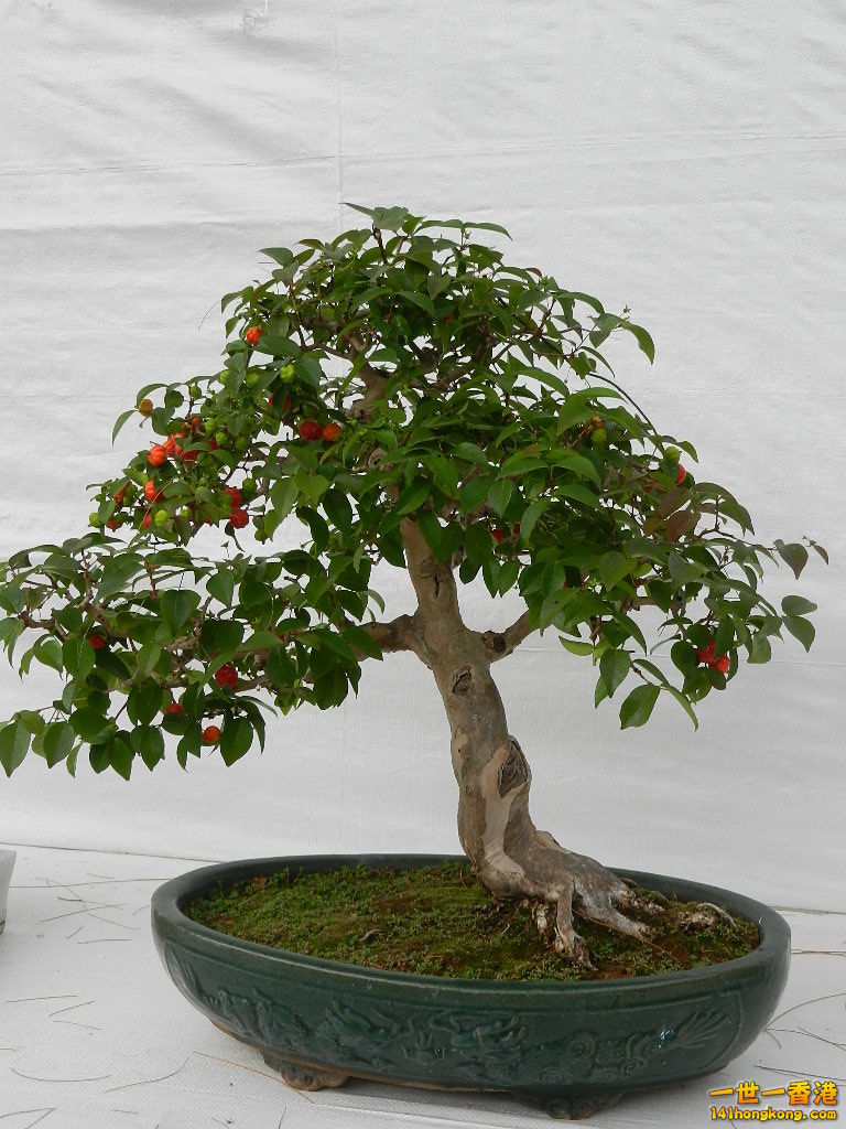 DSCN4169.JPG