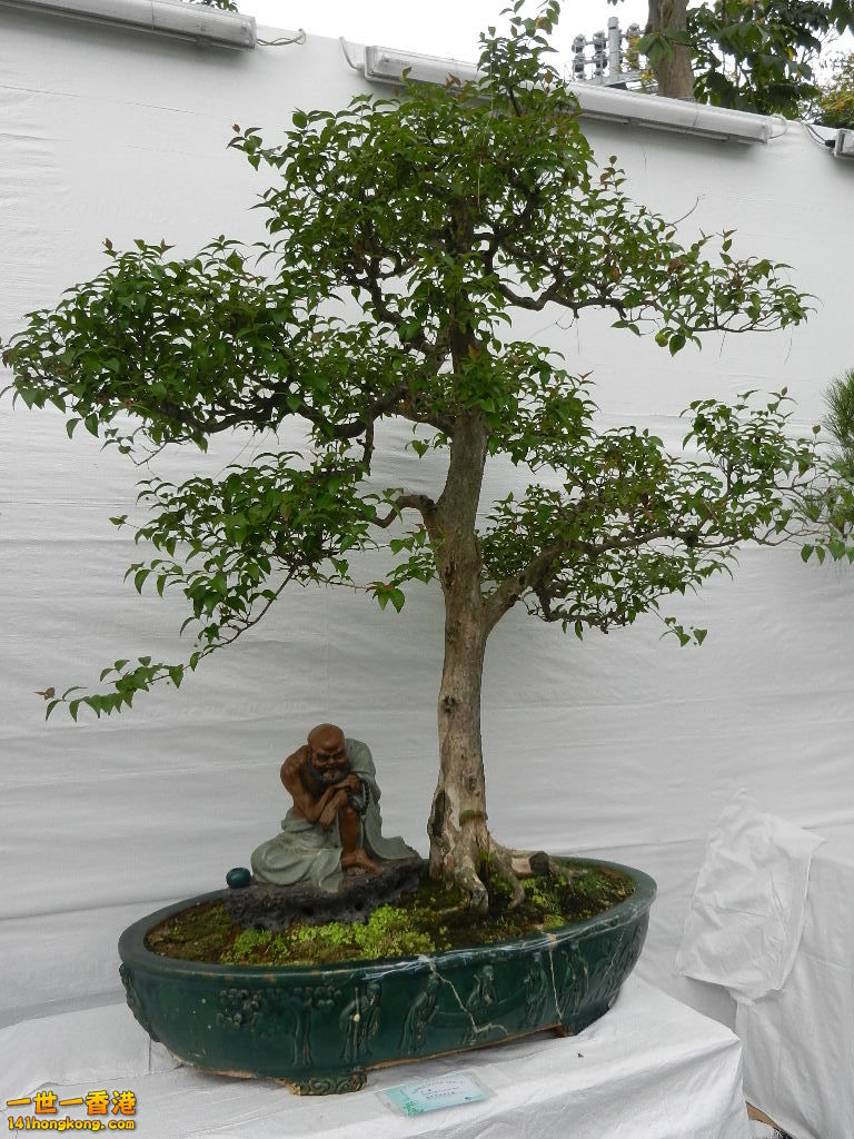 DSCN4172.JPG