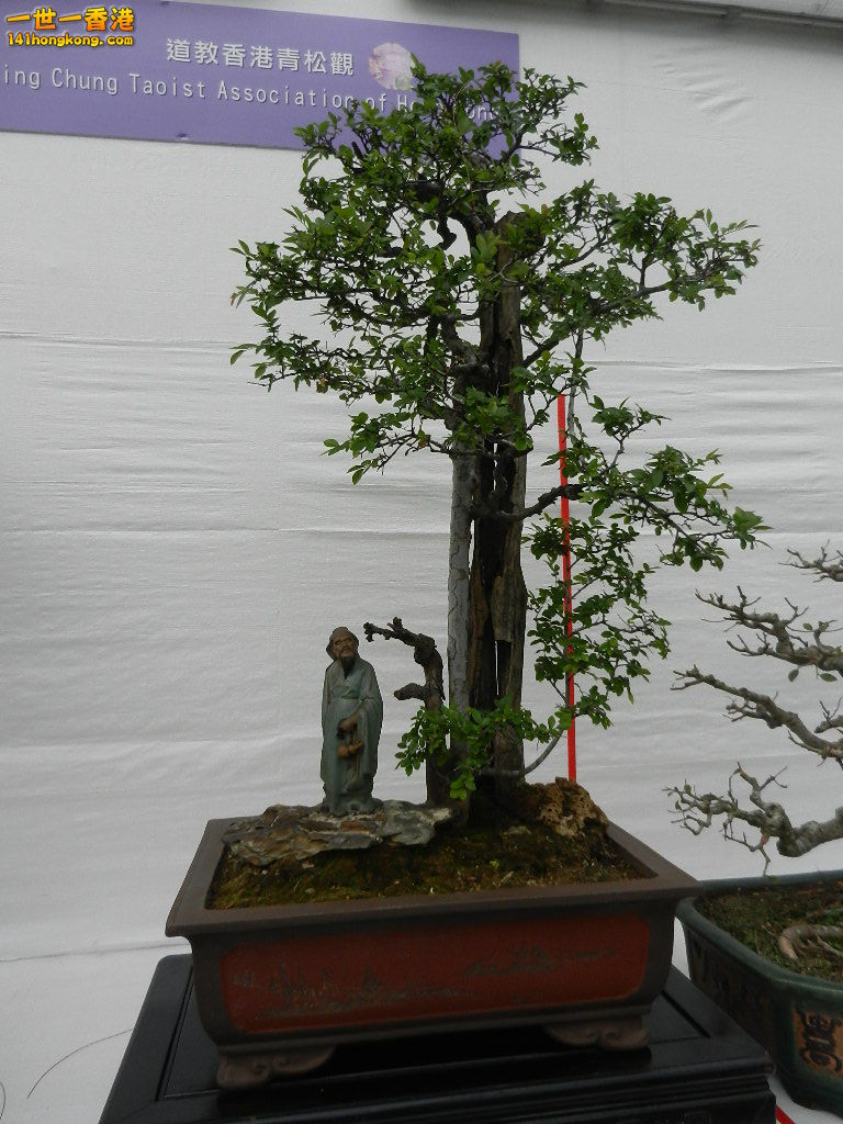 DSCN4173.JPG