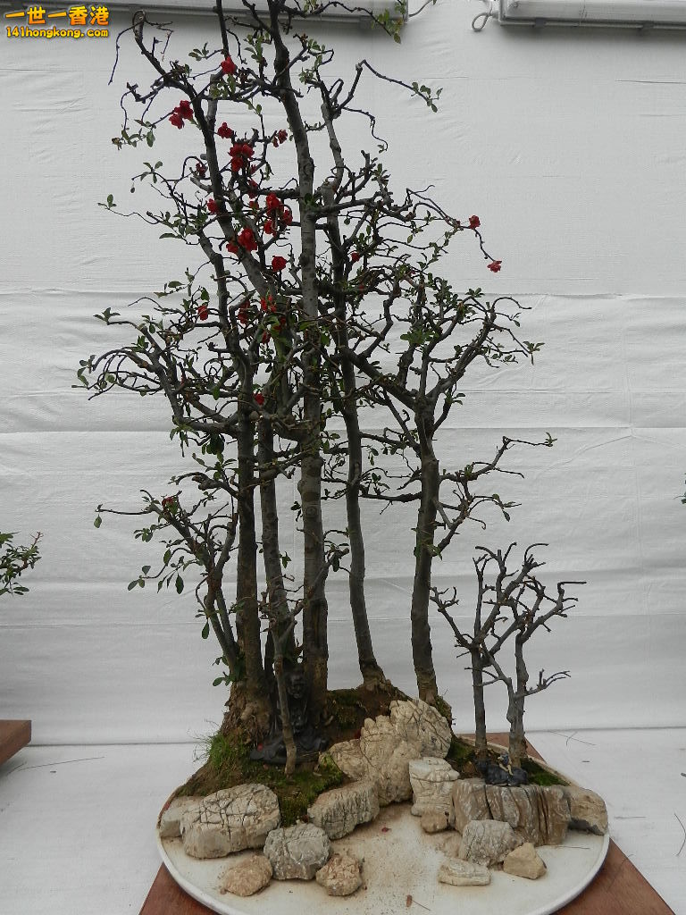 DSCN4175.JPG