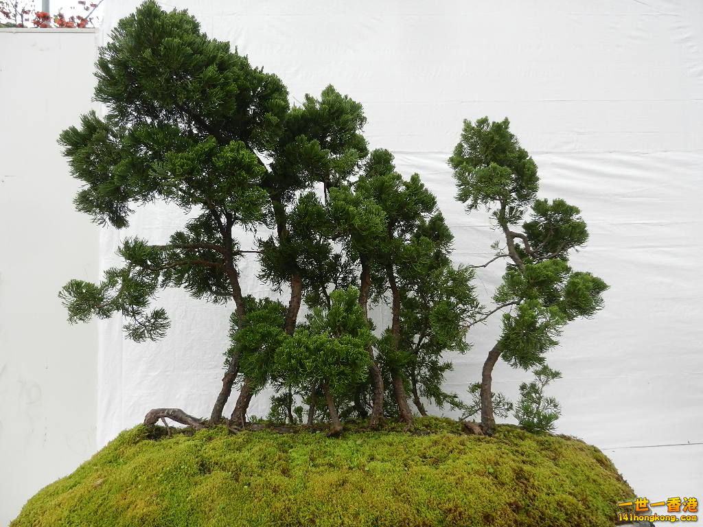 DSCN4177.JPG