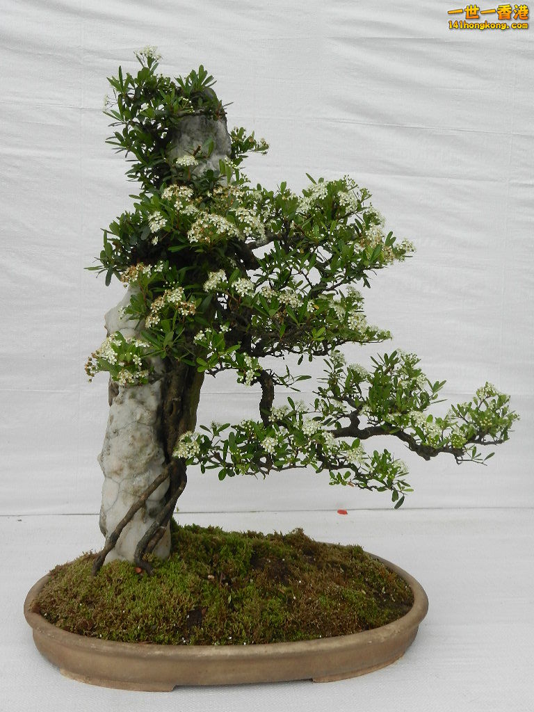 DSCN4178.JPG