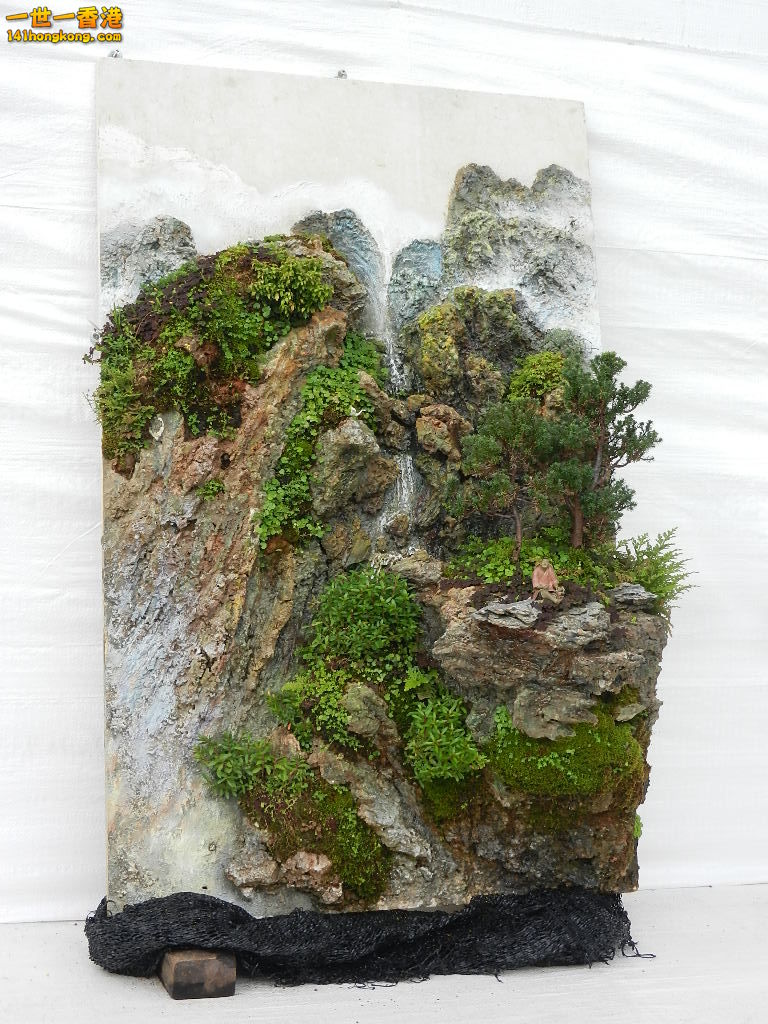DSCN4181.JPG