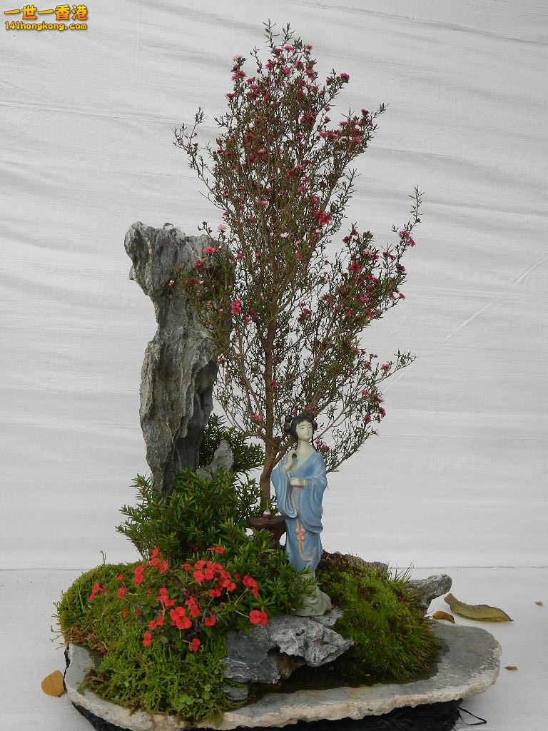 DSCN4182.JPG