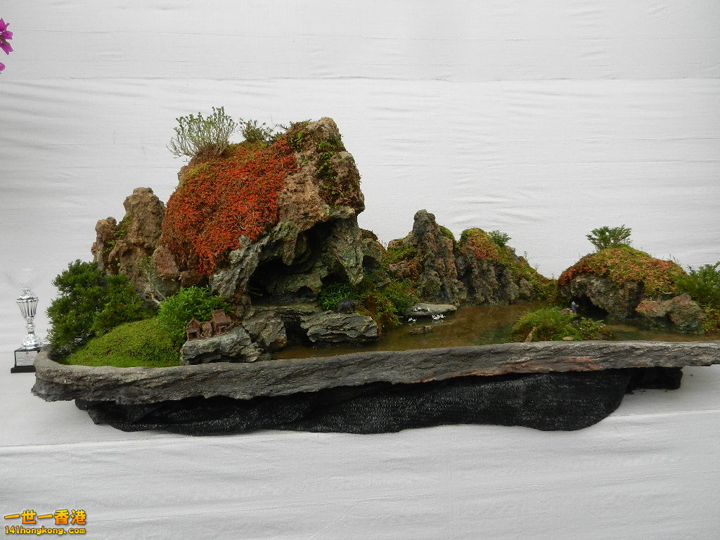 DSCN4183.JPG