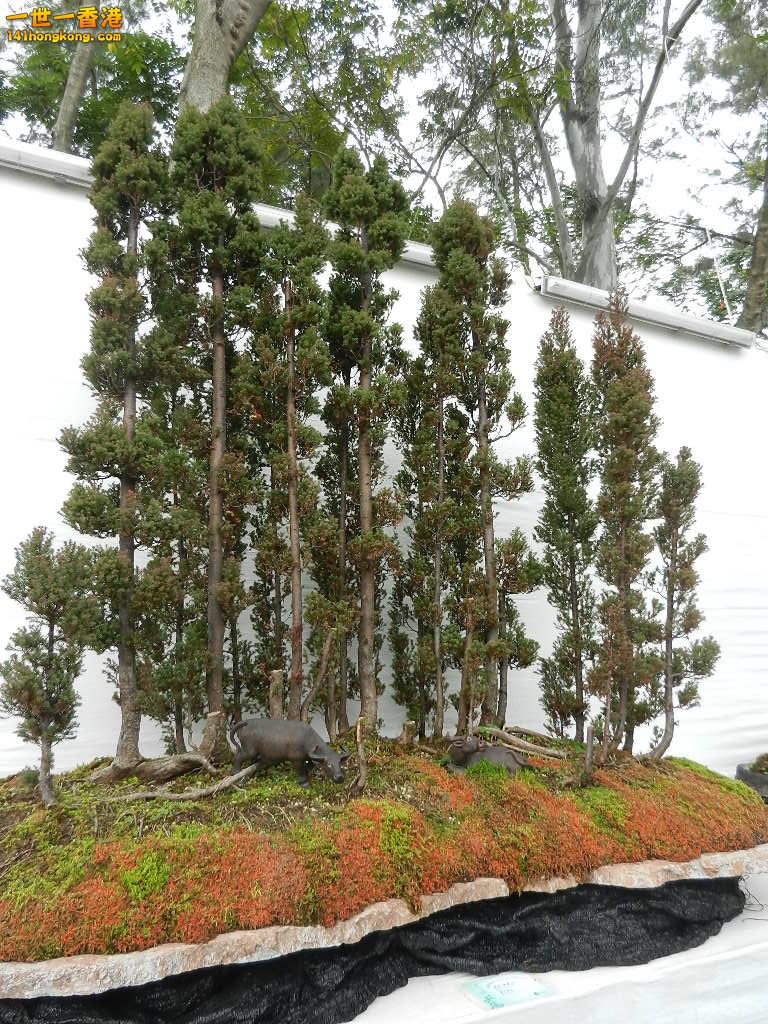 DSCN4184.JPG
