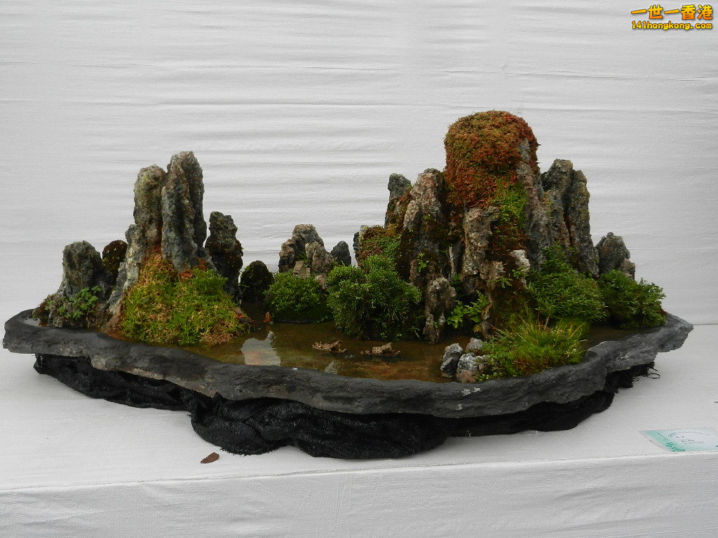 DSCN4185.JPG