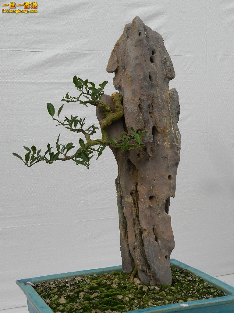 DSCN4187.JPG