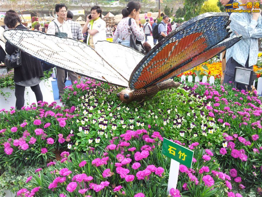 2花 (5).jpg