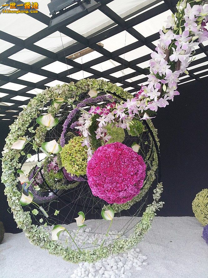 花 (6).jpg
