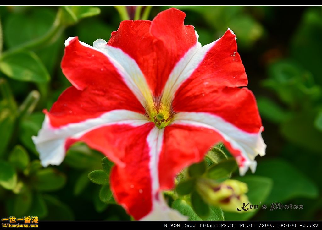 DSC_2794.jpg