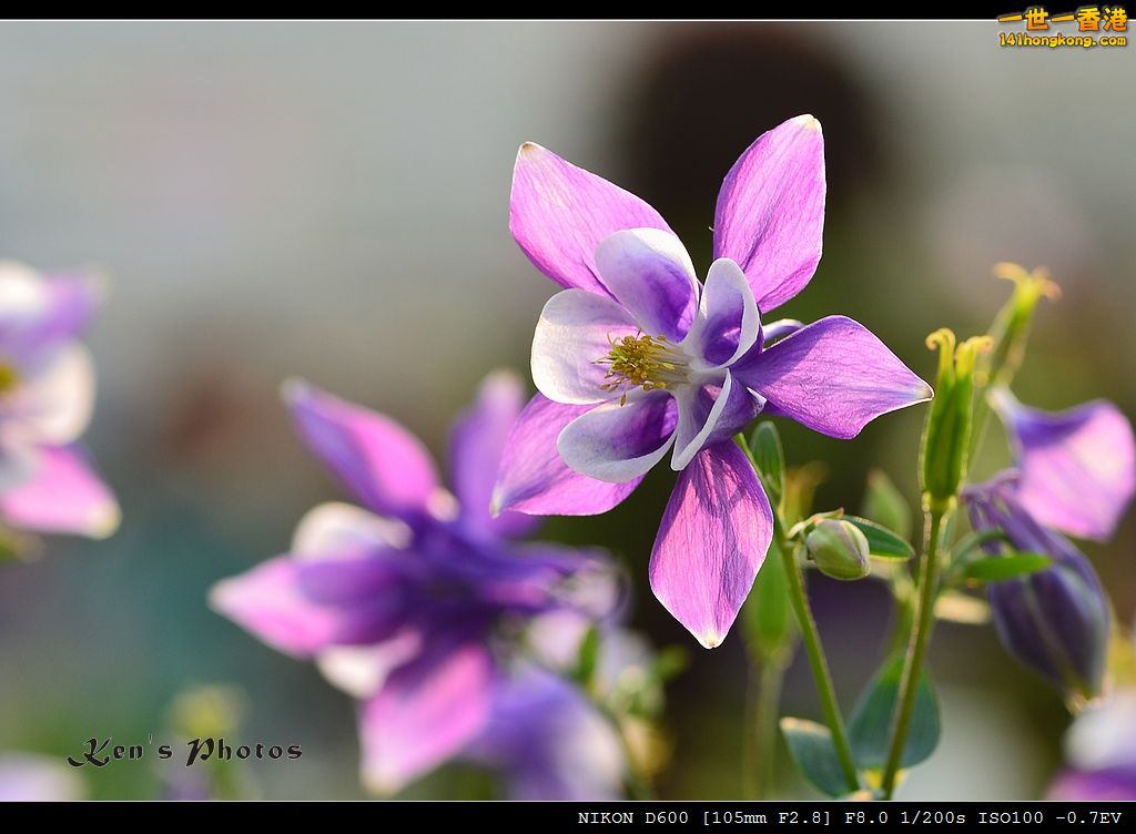 DSC_2810.jpg