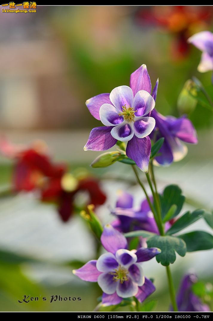 DSC_2812.jpg