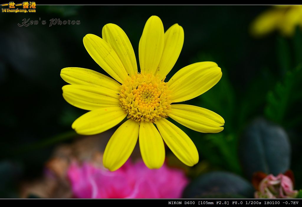 DSC_2844.jpg
