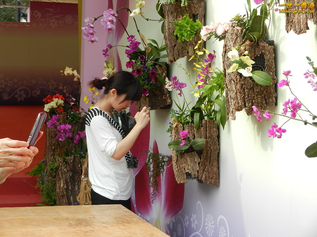DSCN4305.JPG