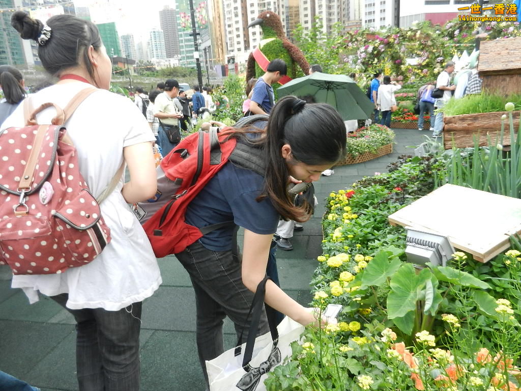 DSCN4314.JPG