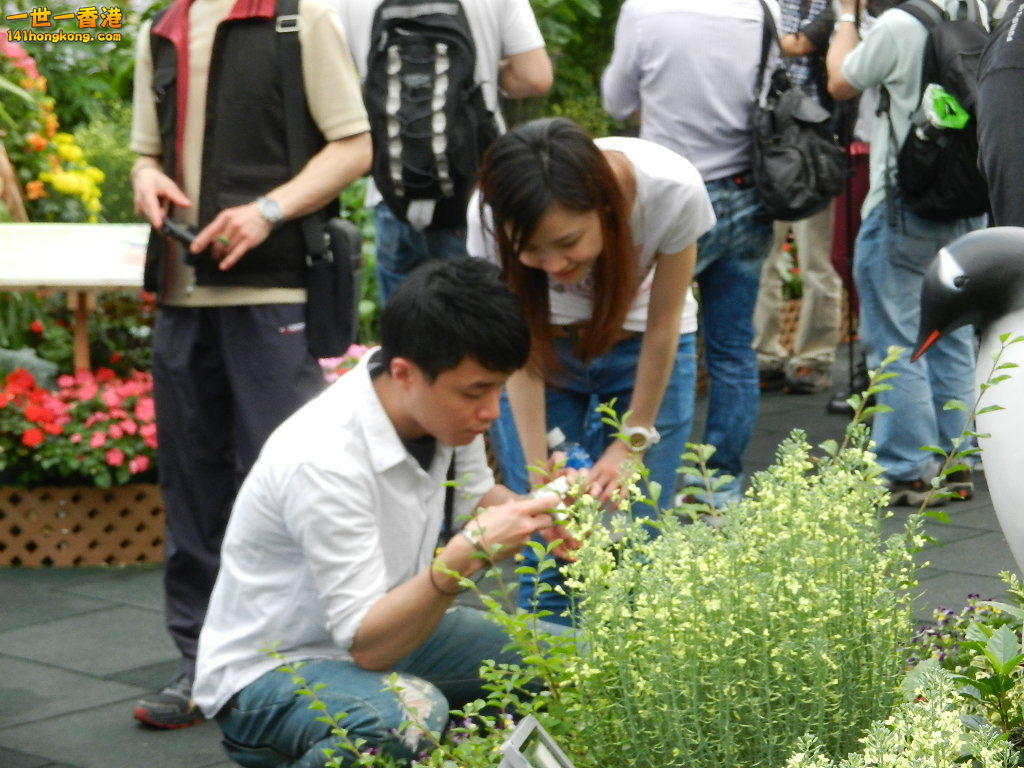 DSCN4320.JPG