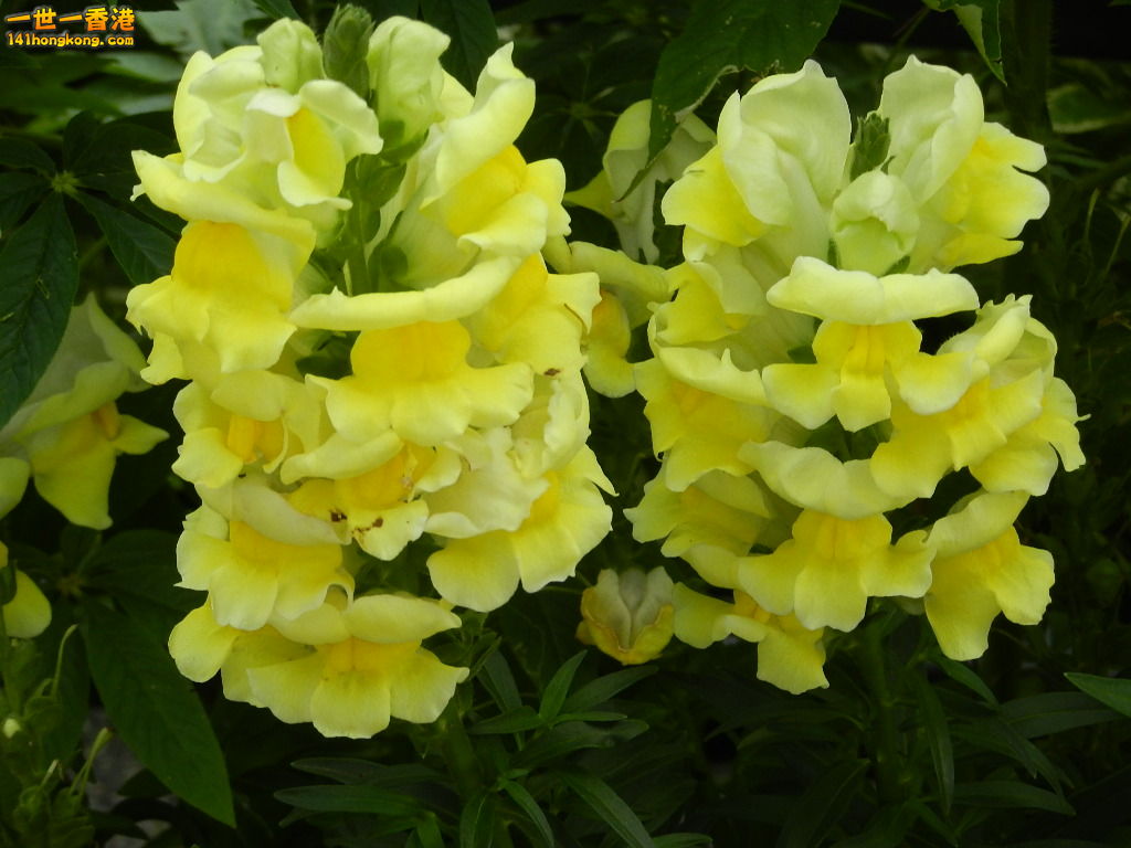 DSCN4360.JPG