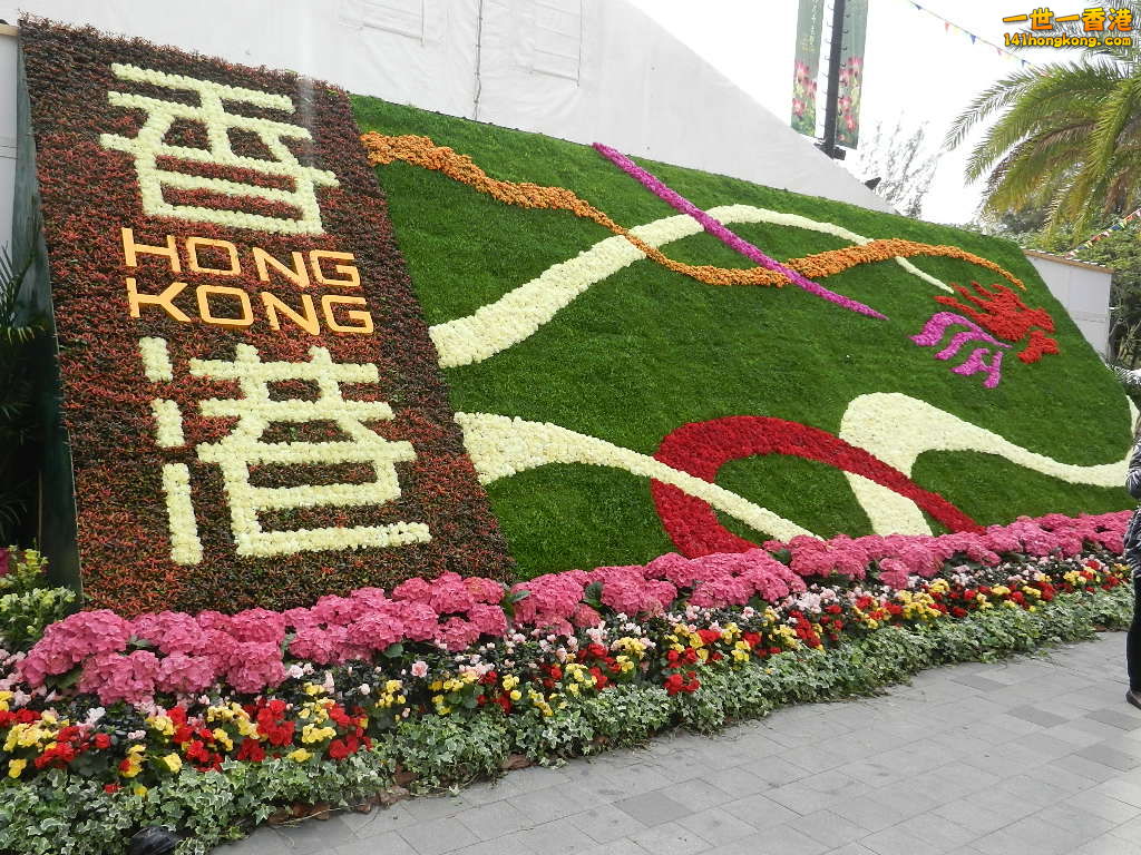 DSCN4299.JPG
