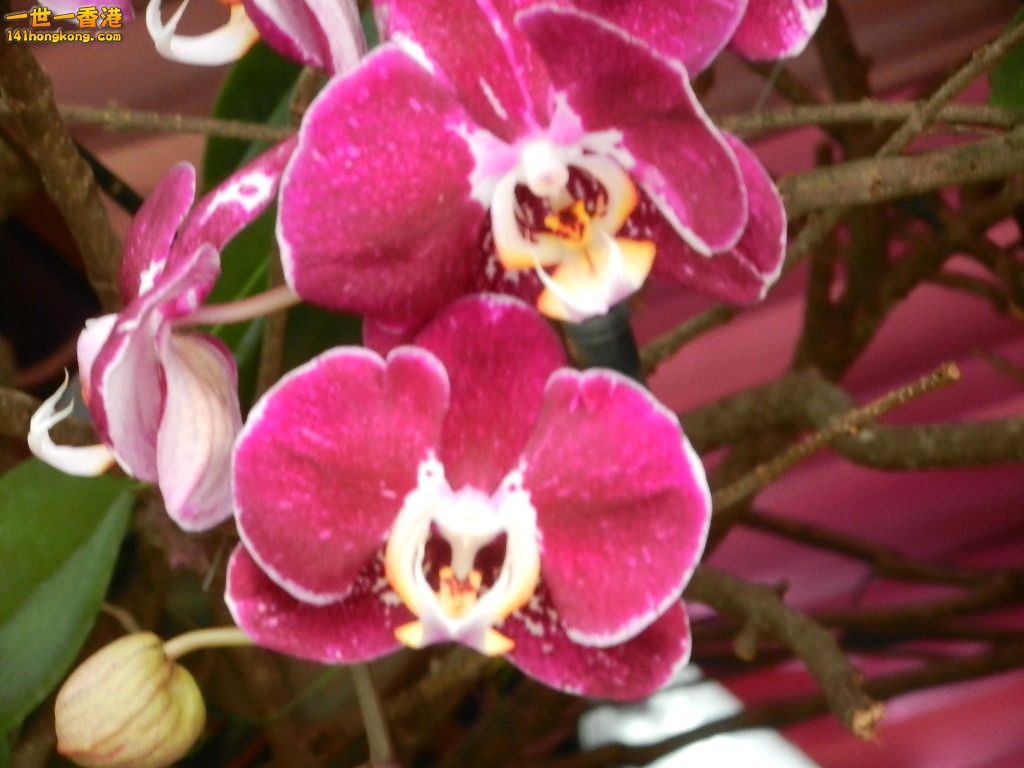 DSCN4308.JPG