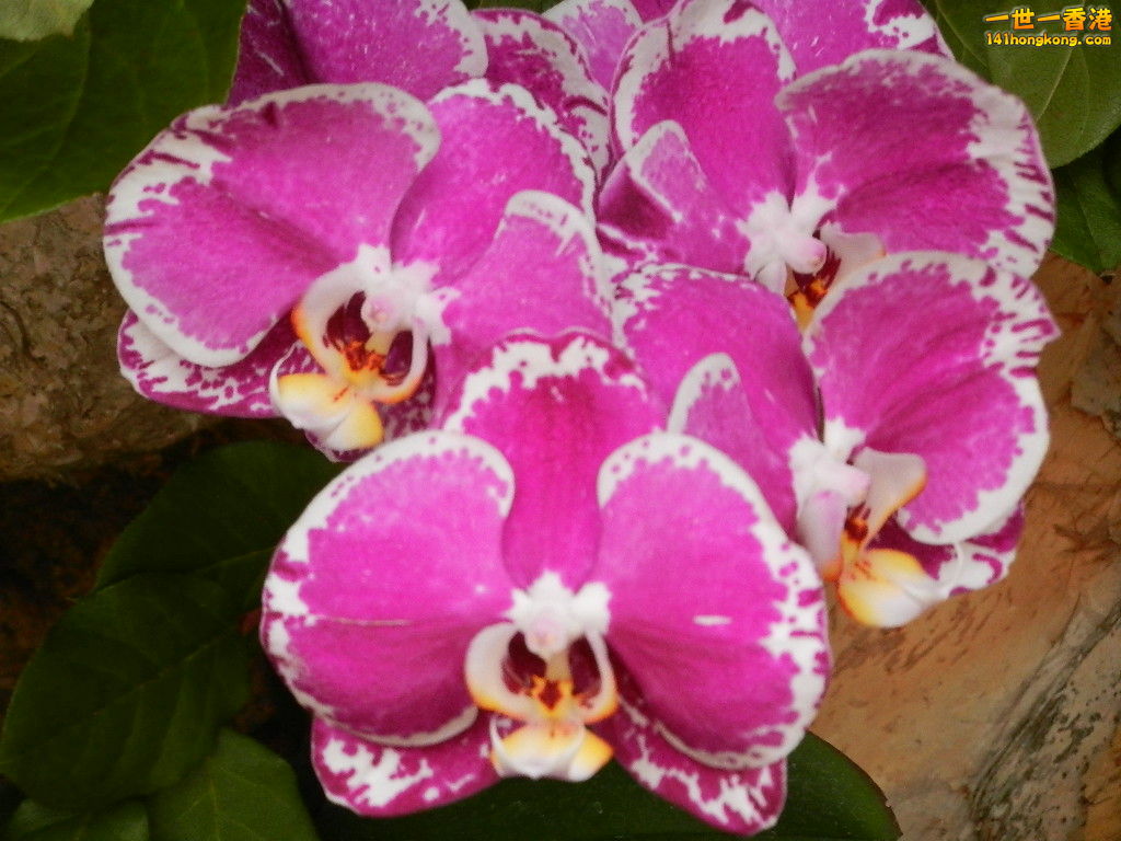 DSCN4309.JPG