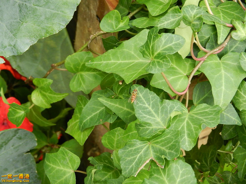 DSCN4324.JPG