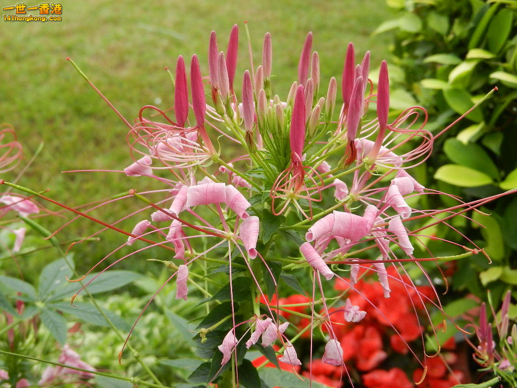 DSCN4358.JPG