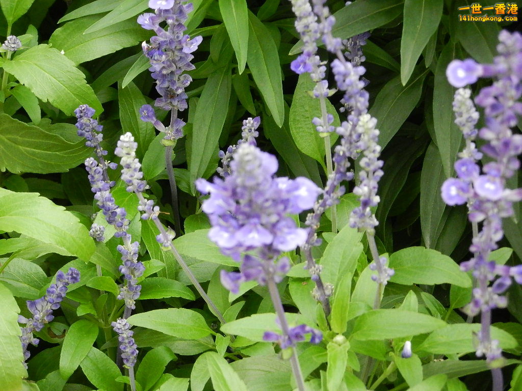 DSCN4359.JPG