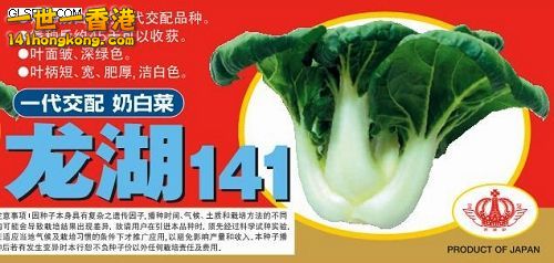 龙湖141奶白菜--glseed.com.jpg