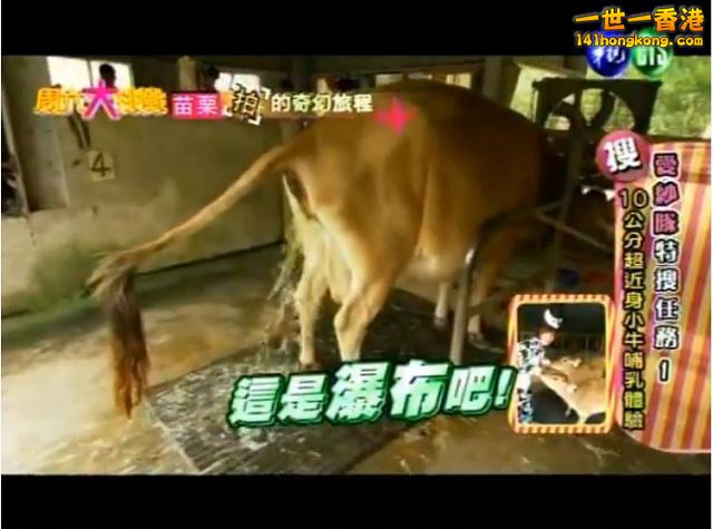 2013-03-24 05_34_14-週六大挑戰 2013-03-23 _ Page 2 of 7 _ Taiwanvs.com _ Taiwan .jpg