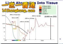 Light absorption.jpg