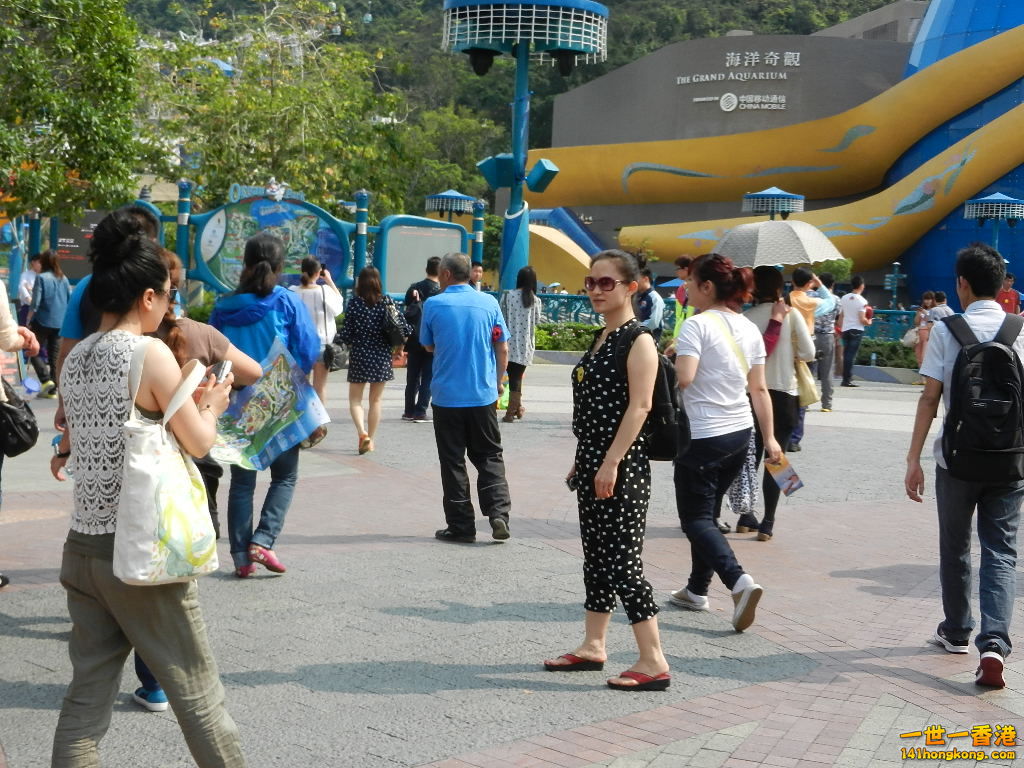 DSCN4681.JPG