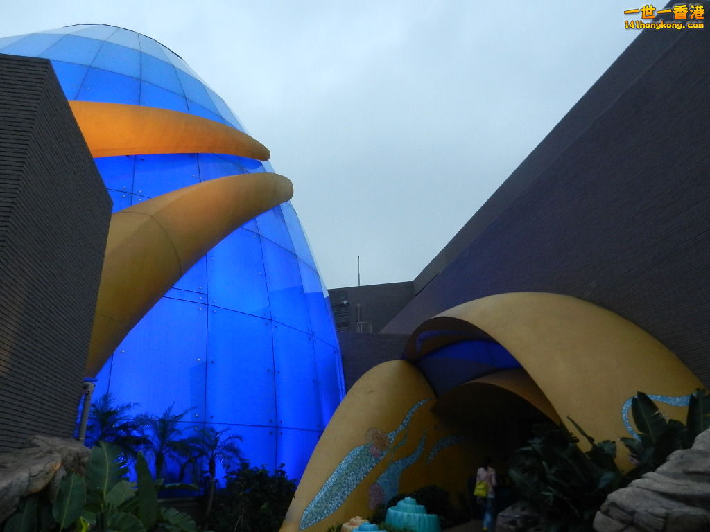 DSCN4904.JPG