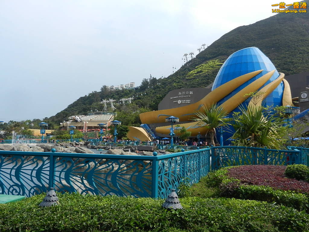 DSCN4684.JPG