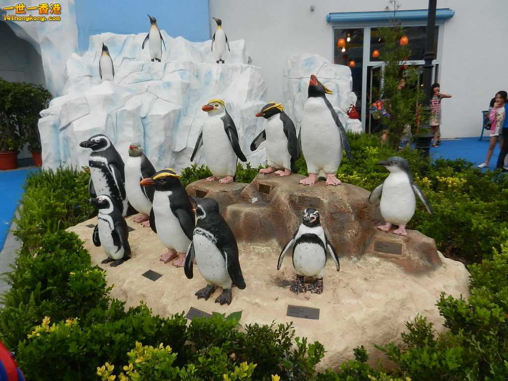 DSCN4831.JPG