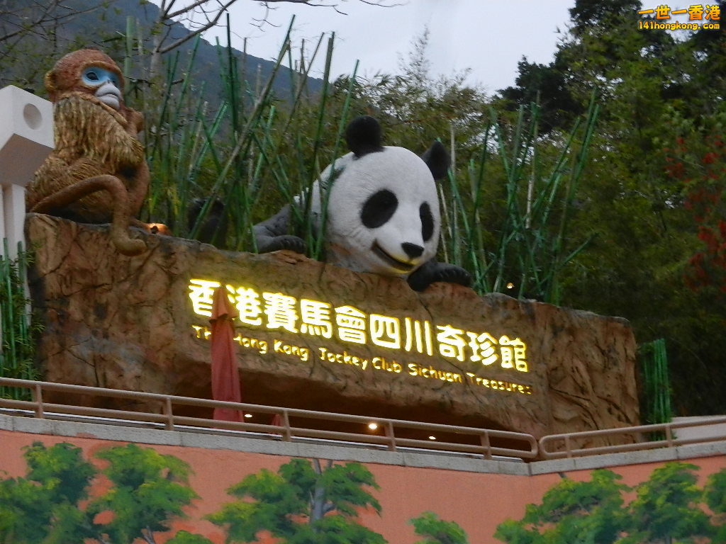 DSCN4886.JPG
