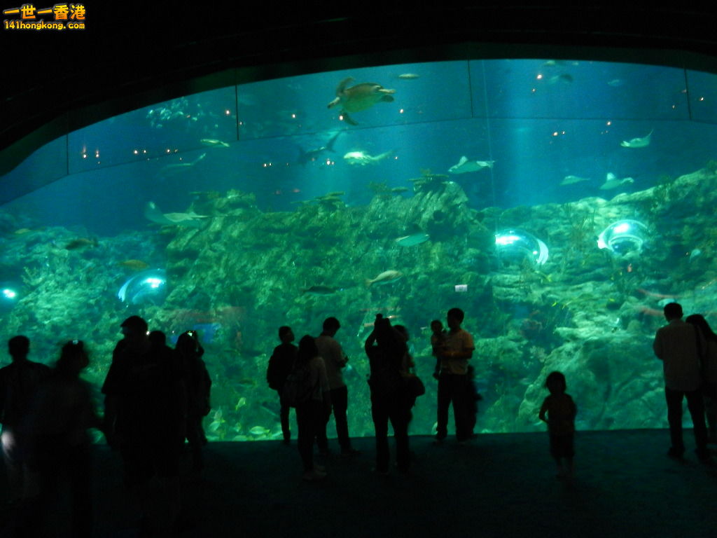 DSCN4986.JPG