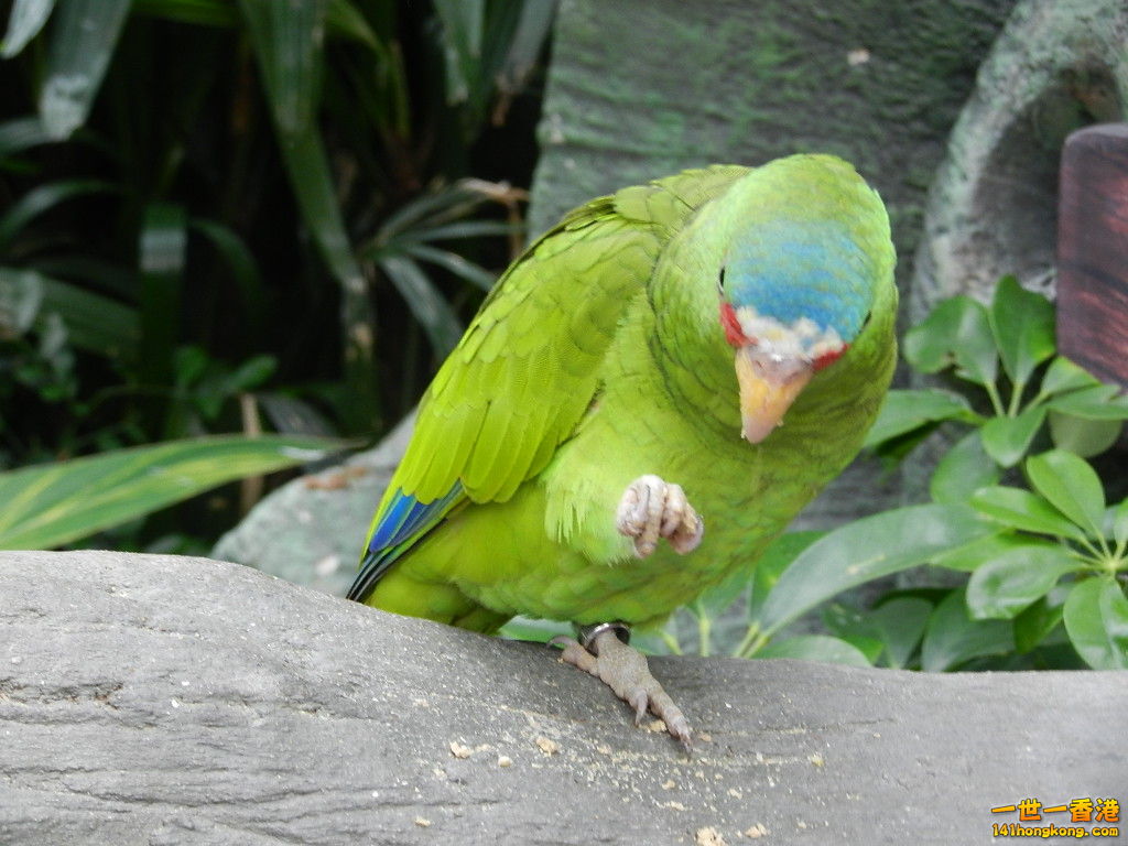 DSCN4773.JPG