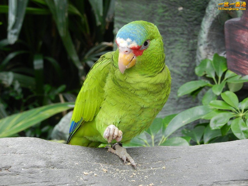 DSCN4774.JPG
