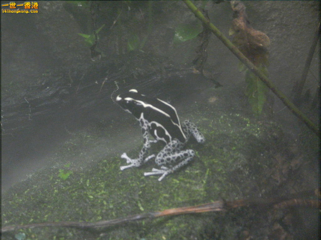 DSCN4787.JPG