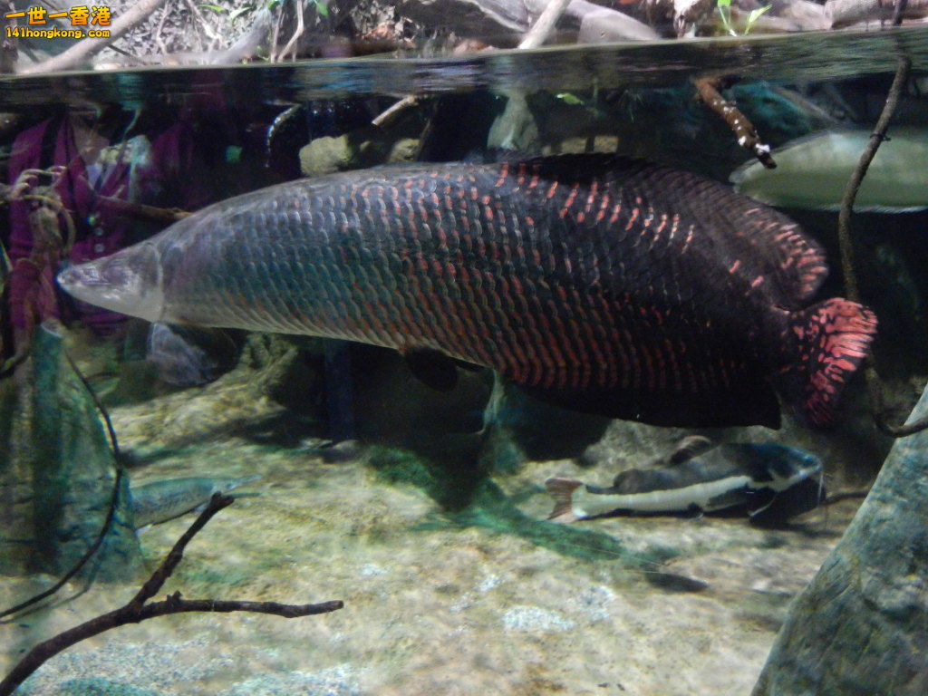 DSCN4790.JPG