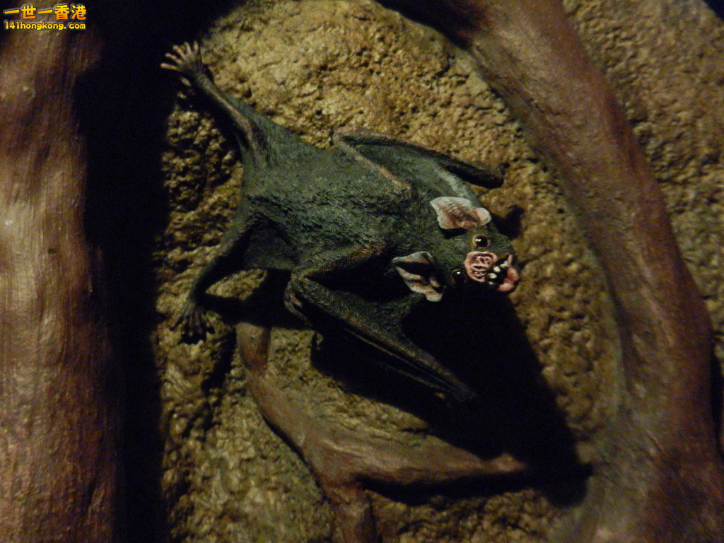 DSCN4794.JPG