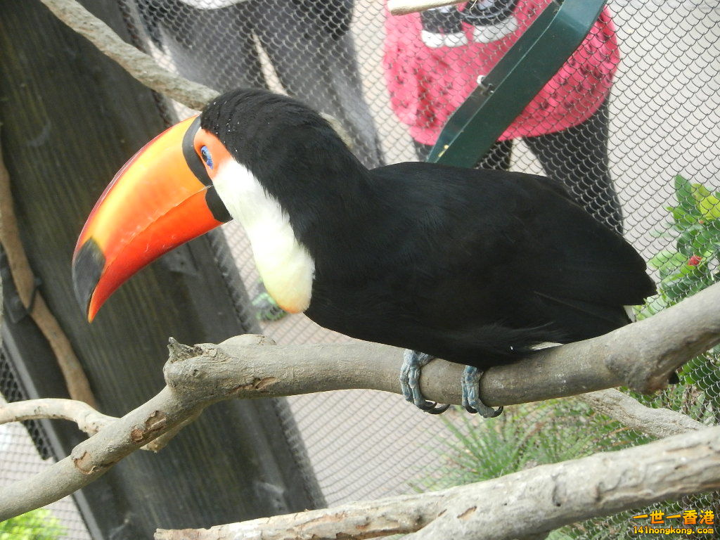 DSCN4799.JPG